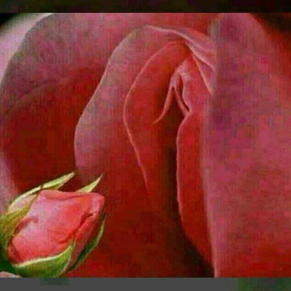 bally4reall's profile picture. GOD  LOVES YOU!
- He there for you.
- He will make a way for you.
- He will wipe away your tears.
- He will be your best friend.