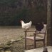 Folly Hall Farm (@follyhallfarm1) Twitter profile photo Folly Hall Farm (@follyhallfarm1) Twitter profile photo