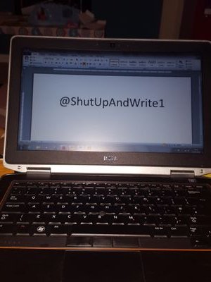 A semi-automated co-ordinated #ShutUpAndWrite group! Set-up for Wednesdays 2pm-5pm in 45min writing blocks :) 15 min breaks. Follow and tweet us to join in!