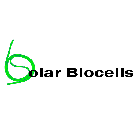 Solar Biocells Profile