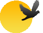 http://t.co/gIvFaLmqbZ is an open source or free software movement - In short http://t.co/gIvFaLmqbZ is Indian inspiration of Global GNU!!