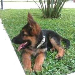 ElenaBaloi's profile picture. Unamuniana (contra esto y aquello).
Odio il fanatismo e gli idioti insistenti o arroganti.
NO sinistre, nemmeno rosé. NO trenini.
Problemi di connessione.