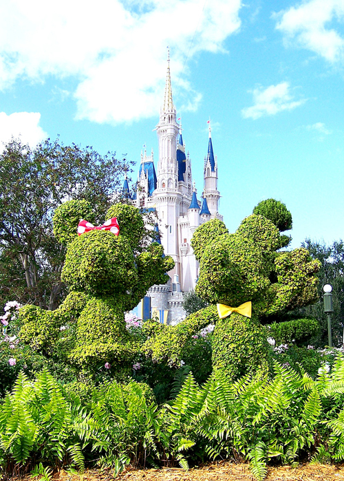 cherylwelsch's profile picture. 