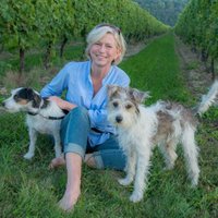 Indigo Pet Photo (@indigopetphoto) 's Twitter Profile