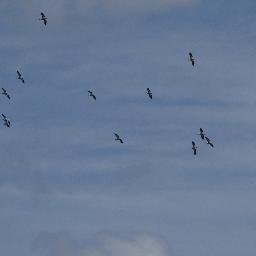 WritersStorys's profile picture. 