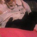 Billie Gail McLemore - @BilliegGail - Twitter