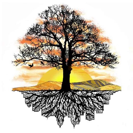 Our mission is to foster a greater appreciation of trees and promote the professional practice
of arboriculture through education, research, and technology.
