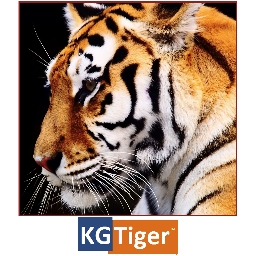 We provide high quality talent solutions at a low cost using a perfect combination of AI and Six sigma. Contact us at rholt@kgtiger.com