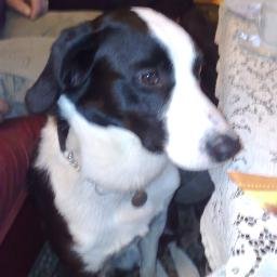 NorweganAmiUsr's profile picture. 