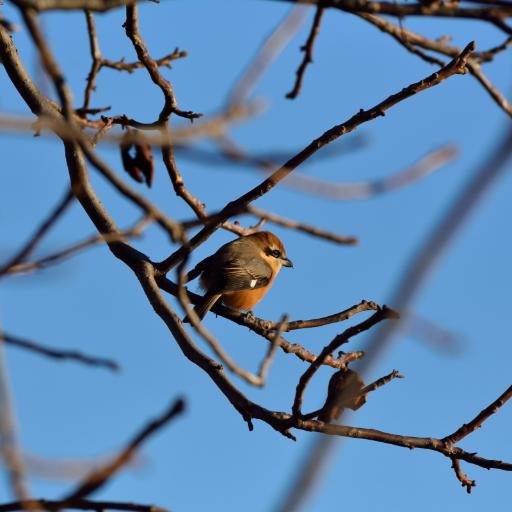 nakasadax's profile picture. ゆるいおっさんです。
適当なブログを書いてます。