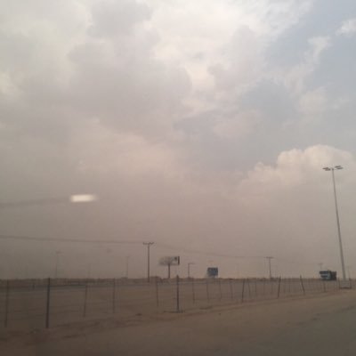 gfffmfm1's profile picture. 