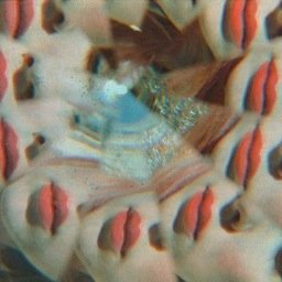 xerryluv's profile picture. 