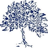 Denmark Road High School (@hsfgdenmarkroad) 's Twitter Profile