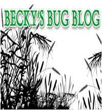 beckysbugblog's profile picture. Dr. of Entomology sharing bug information for children and adults to learn and laugh