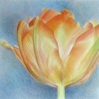 Botanical Art and Artists (@botanicartists) 's Twitter Profile