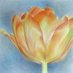 Botanical Art and Artists (@botanicartists) Twitter profile photo