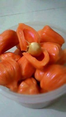 LIJOJOSEPH944's profile picture. 