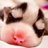 keakon's profile image