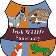 irishwildlife rescue