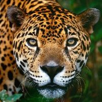 JJIS Students (@jjis_student) 's Twitter Profile