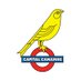 Capital Canaries (@capitalcanaries) Twitter profile photo Capital Canaries (@capitalcanaries) Twitter profile photo