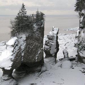 rochers Pots de Fleurs Hopewell Rocks - Explorez le Fond Marin, Faites une Randonnée en Kayak plus Hautes Marées du Monde! Follow us in English @hopewellrocks