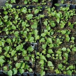 MaitedAD's profile picture. 