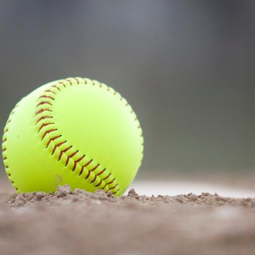 PSA_SoftballFL's profile picture. We can be contacted through https://t.co/E1cXGTunHq
or 
PSASOFTBALLCPGA@GMAIL.COM