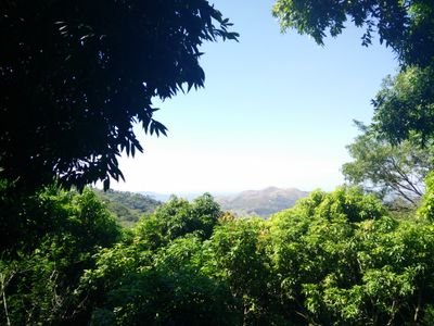 andres_que's profile picture. Estamos aquí reunidos, para ofrecer un sacrificio de paciencia, cóleras, expectativas, risas y desengaños. Todo en nombre de 'la verdad'. Amén.