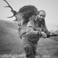 Wild Hart Venison (@wildhartvenison) 's Twitter Profile