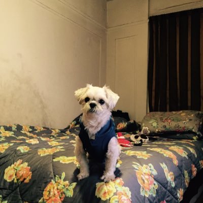 jlutnick's profile picture. 