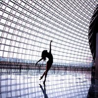Laurent Liotardo (@balletandphotos) 's Twitter Profile