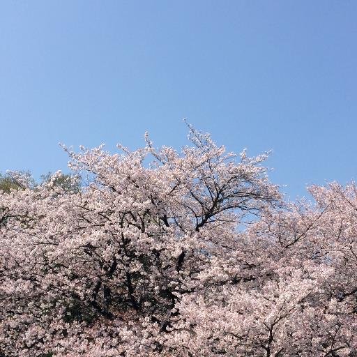 matutake_x's profile picture. 出身は神奈川（実家はもうありません）、仕事の関係で12年くらい秋田県北部に在住していました。11年前の人事異動で首都圏に帰還。通勤の都合で流山を選択。今まで縁がなかった地域なので、地元の情報には疎く、情報収集の参考にしています。