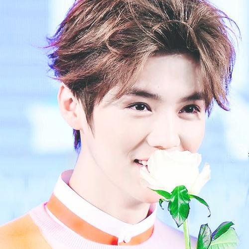 RP of HandsomeDeer Luhan || 90L || CassiopeiaOT5!