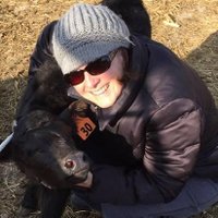 Lisa Anton (@lisaantonlpc) 's Twitter Profile Photo Lisa Anton (@lisaantonlpc) 's Twitter Profile Photo