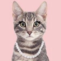 よっちゃん (@yocchan_mira) Twitter profile photo