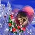 غريب الدار (@elrazki56) Twitter profile photo غريب الدار (@elrazki56) Twitter profile photo