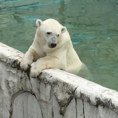 jyro_nico's profile picture. 「Wi-Fiとスマホは生活必需品。定期的な見直しでメリットがあるから資産運用と同じ」という意見は目から鱗。要るか要らないかじゃないのか… 元・歌い手フリーター 他サイトからの更新以外は年１投稿になってる現状を打破しておもしろい人になりたひ。(2025.8.27)