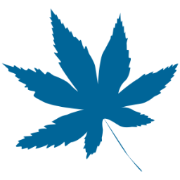 CannabisJobsNow's profile picture. 