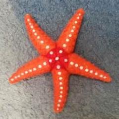 GiftedHCPS Profile