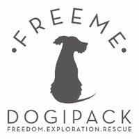 DogiPack (@roamingwrover) 's Twitter Profile