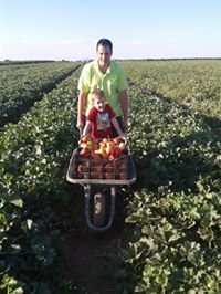 Ingeniero agrónomo