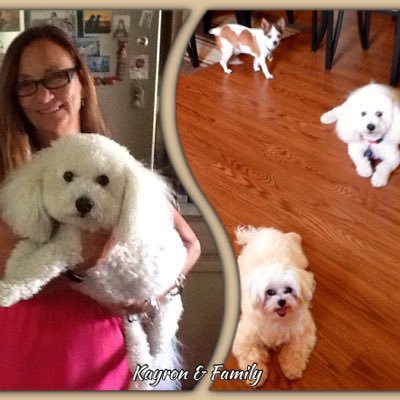 We are a family of 3 dogs: Bichon, Maltese, & Chihuahua. We love our Mom & because of her we can be our best.