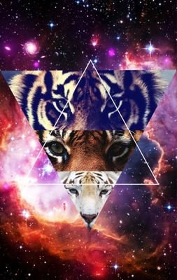KTezka's profile picture. 