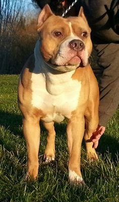 Arriaga21026467's profile picture. 