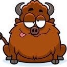 Boozing Buffalo (@boozingbuffalo) 's Twitter Profile Photo Boozing Buffalo (@boozingbuffalo) 's Twitter Profile Photo