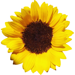 absinte_lv's profile picture. 