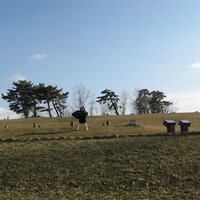 shimu@僕の歩く町 (@44982441shimu) 's Twitter Profile