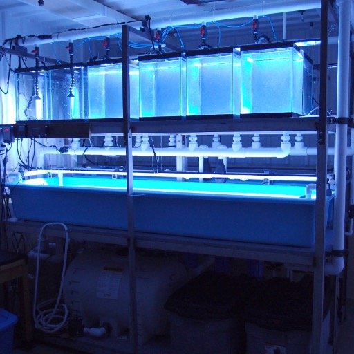 MeyerLabOSU's profile picture. Lab at Oregon State University