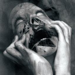 polarispantoja's profile picture.